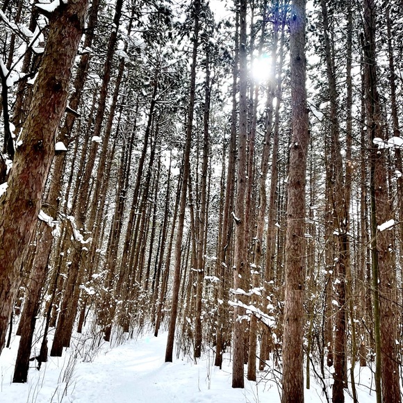 About Me - Picture 11 of 13